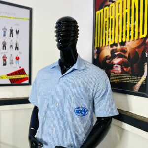 Icey Stripe Short Sleeve Shirt